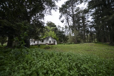 Monte pelo